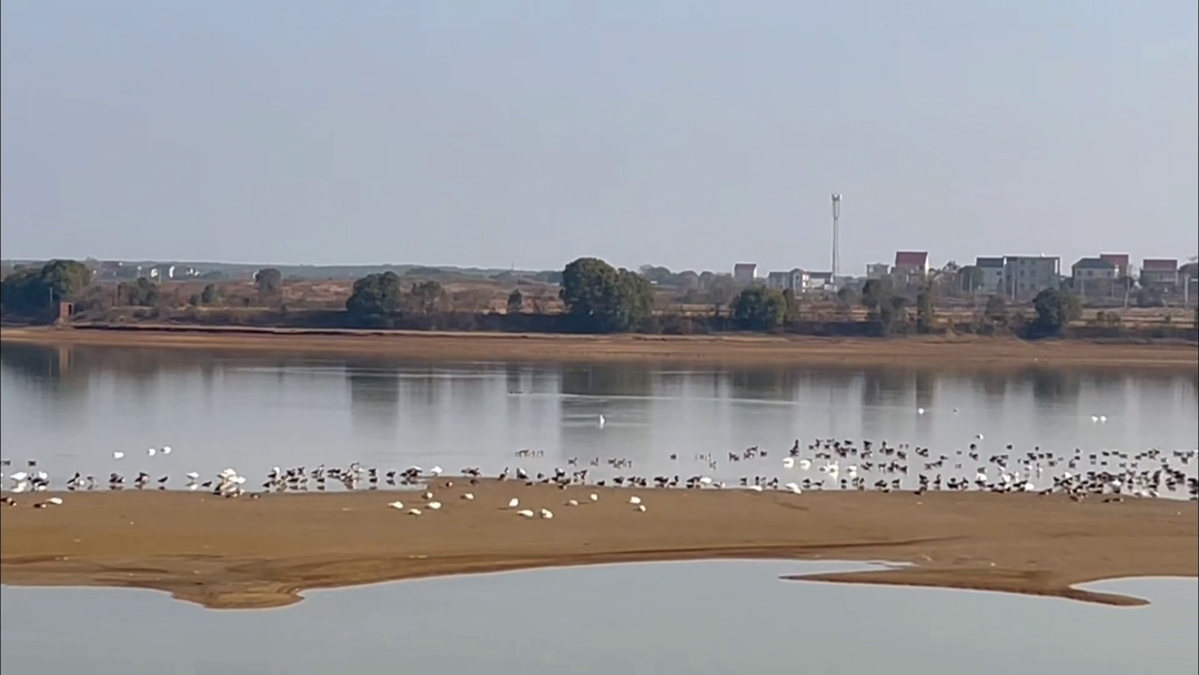 77a848014c1d475f2eb518546b77eb20.png 77a848014c1d475f2eb518546b77eb20.png