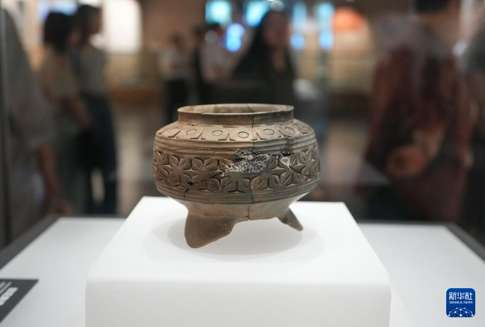 新時代中國調(diào)研行之文化中華｜在山東大汶口探尋文明曙光