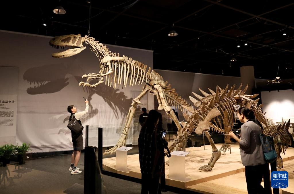 中國恐龍大展在上海開幕