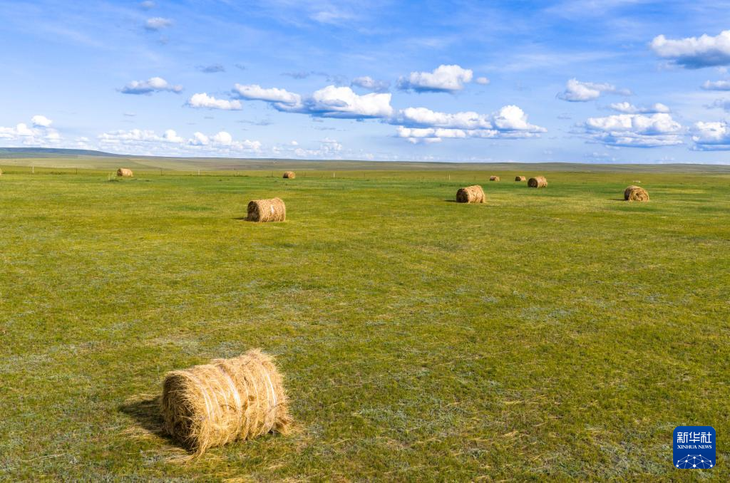 呼倫貝爾大草原秋景如畫