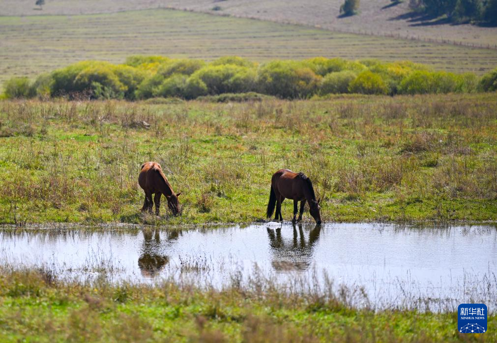 初秋的烏蘭布統(tǒng)草原