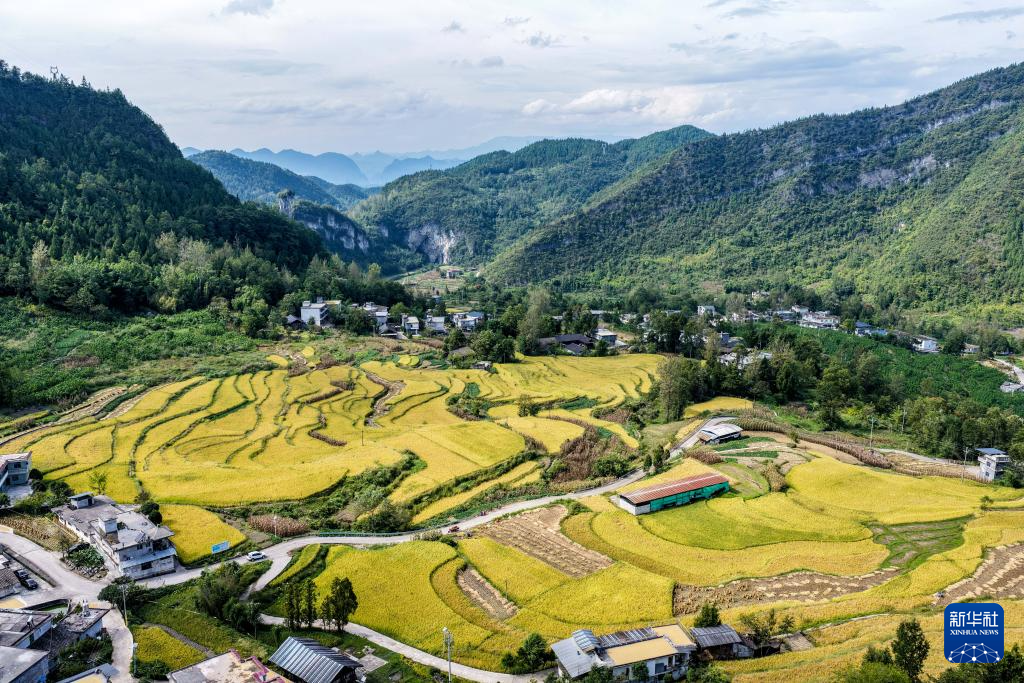 重慶黔江：武陵山鄉(xiāng)迎豐收