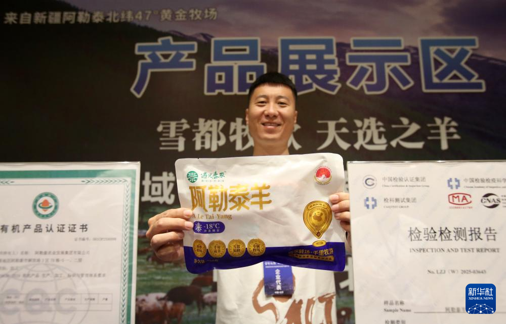 新疆阿勒泰羊“走”出雪山進萬家