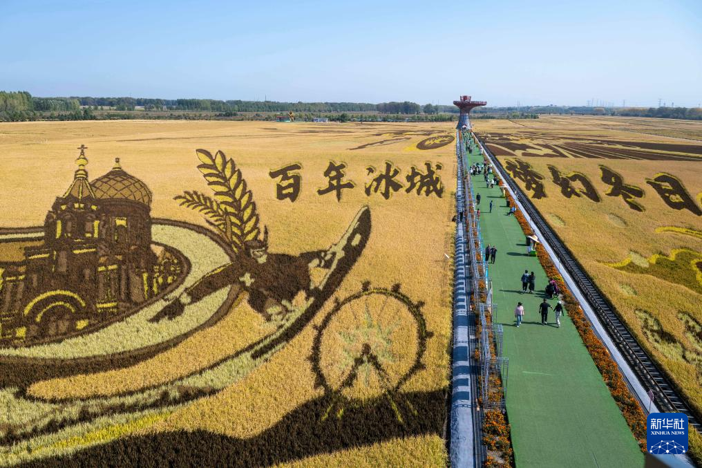 2025年中國農(nóng)民豐收節(jié)黑龍江省主場活動啟幕