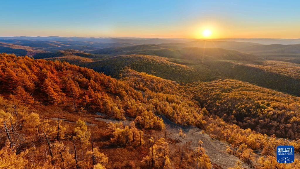 灣區(qū)升明月”大灣區(qū)電影音樂晚會再度在澳門舉行