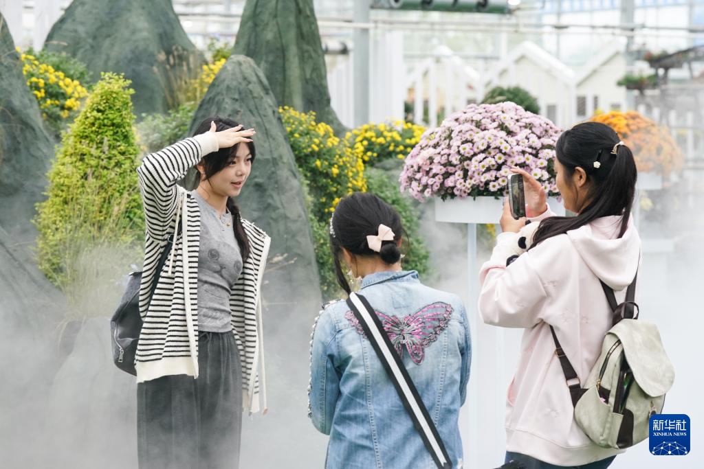 安徽全椒：菊花盛開引客來