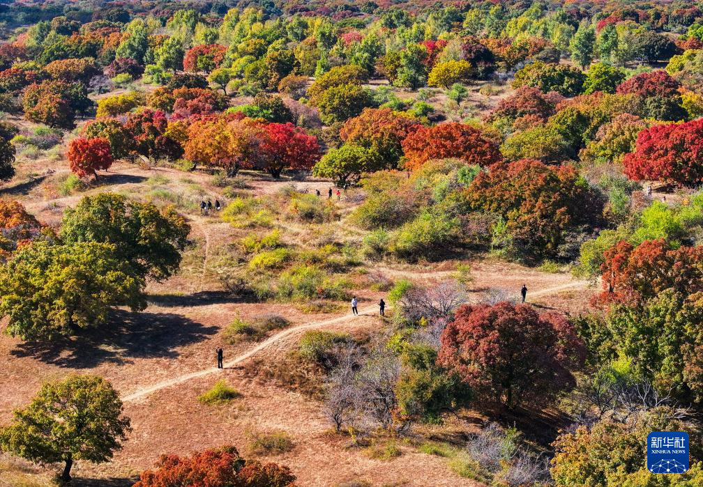 烏旦塔拉 美如童話