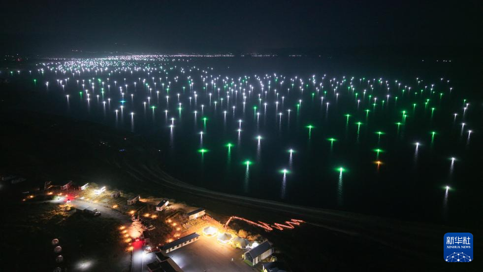 龍羊峽畔的高原“漁光曲”