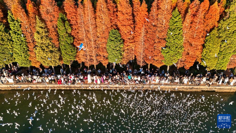 滇池：美景如畫引客來